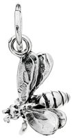 Charm Giovanni Raspini Charms in Argento 09854 - 09854